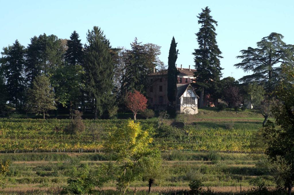 Вилла Casali Del Picchio - Winery Чивидале-дель-Фриули Экстерьер фото